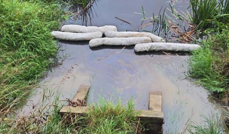 Czy rzeka Czarna w Wołominie została skażona?