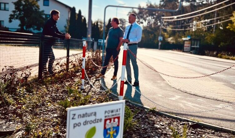 Działania zamiast biurowych przepychanek