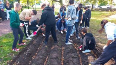 Zielonka - Kolejne Pole Nadziei w Dębinkach