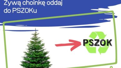 Marki - poświąteczny odbiór choinek