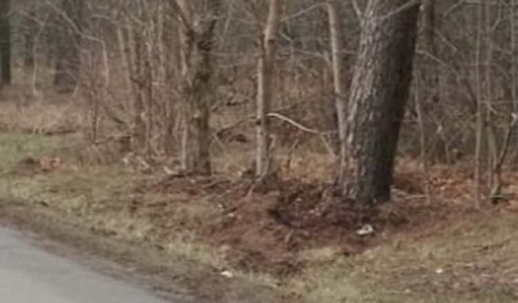 25-letnia kobieta w ciąży straciła panowanie nad autem i uderzyła w drzewo