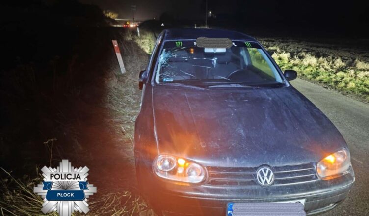 Potrącenie pieszego w Wyszogrodzie. Policjanci apelują o ostrożność na drodze