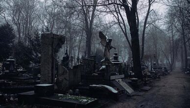 Sprawy zbezczeszczenia grobów z finałem w sądzie. Motywy sprawców zaskakują.