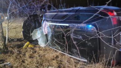 Wypadek z udziałem łosia w Mokrej Wsi – dwie osoby poszkodowane