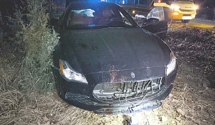 Uwaga na dzikie zwierzęta na drodze