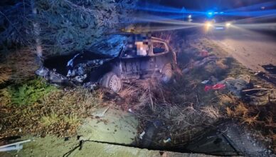 Samochód uderzył w znak i przepust drogowy. Kierowca zakleszczony w aucie.