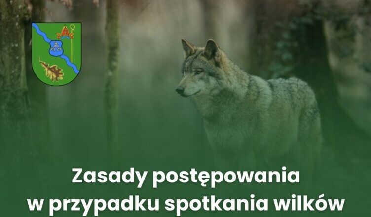 Zasady postępowania w przypadku obecności wilków w Gminie Dąbrówka