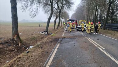 Nie dostosowała prędkości uderzyła w drzewo