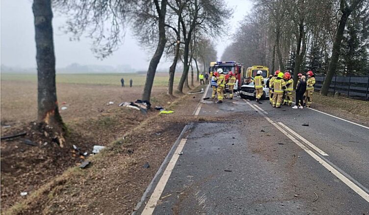 Nie dostosowała prędkości uderzyła w drzewo
