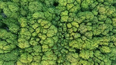 Rotomoulding a ekologia. Poznaj kluczową zależność w tej branży