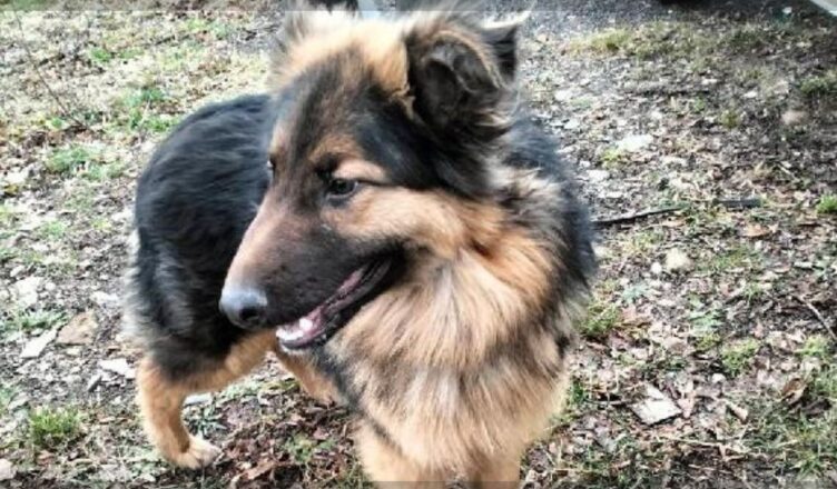 Jadów - małe serce szuka wielkiej miłości