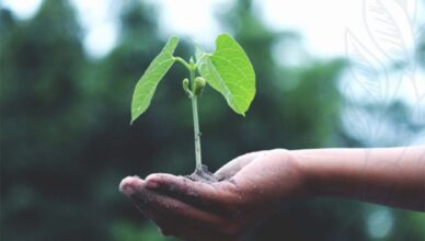 Wołomin - Grupa wsparcia dla osób doznających przemocy domowej