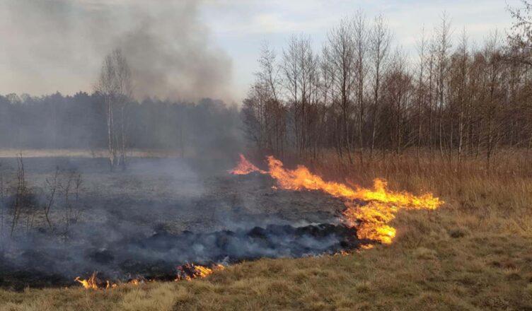 Pożary nieużytków rolnych – problem powracający każdego roku