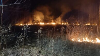 Ogień na nieużytkach w Jasienicy