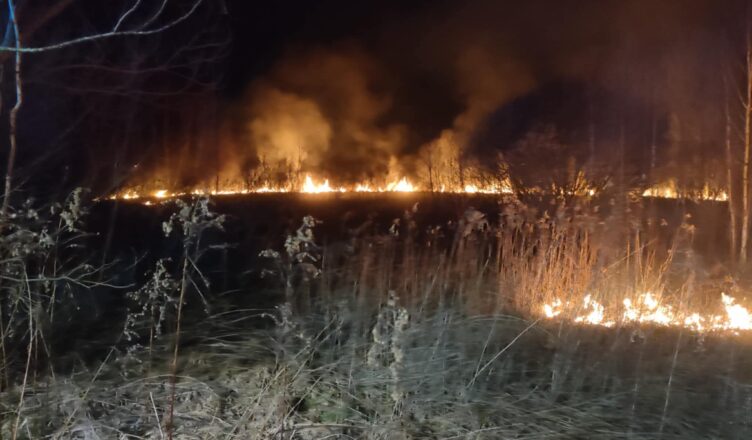 Ogień na nieużytkach w Jasienicy