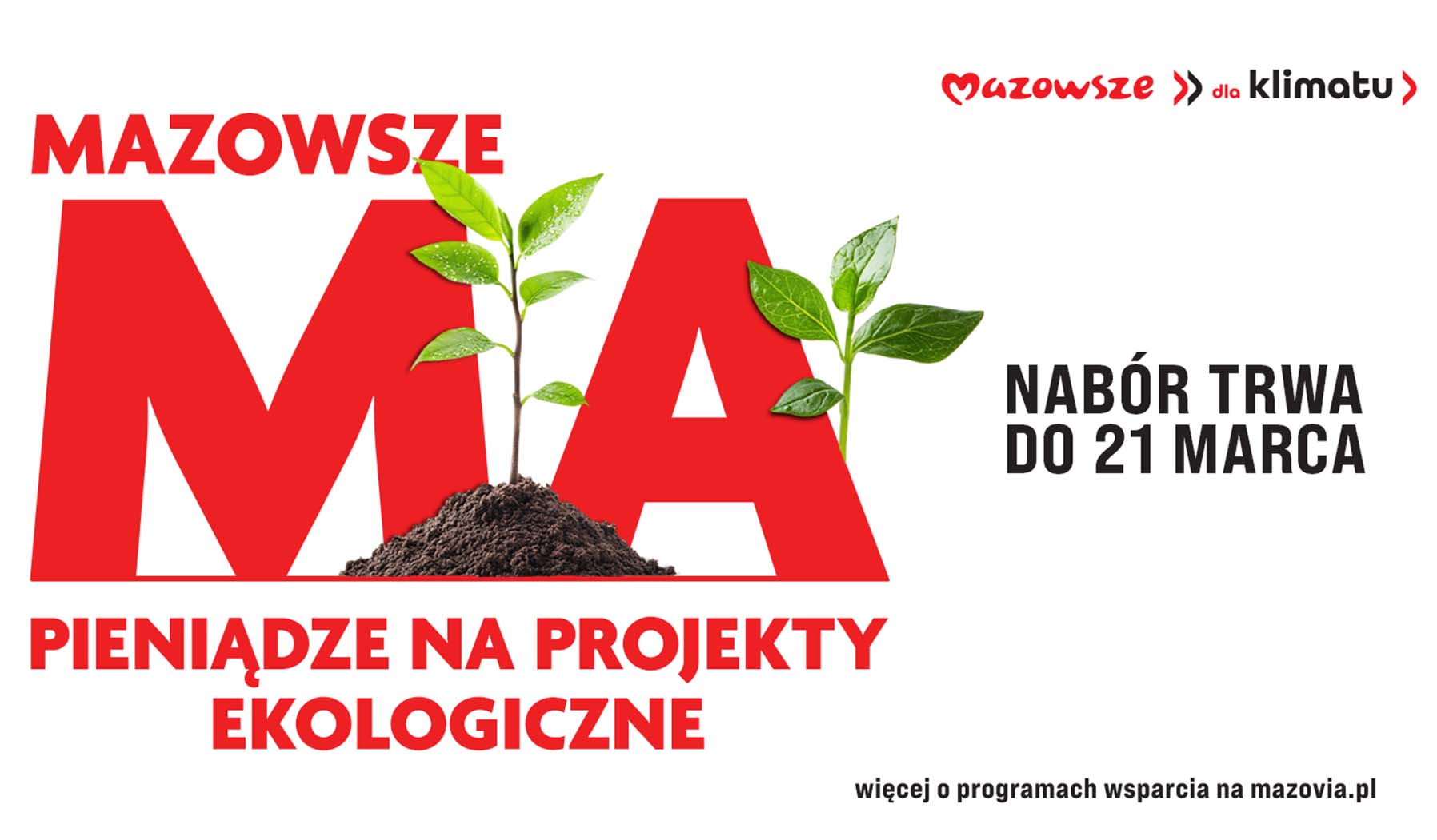 Mazowsze ma pieniądze na projekty ekologiczne