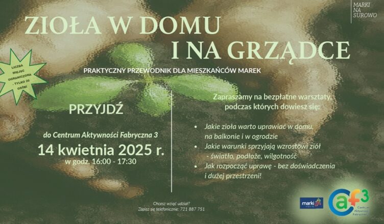 Marki - Zioła w doniczce i na grządce