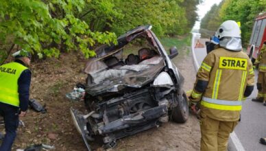 Wypadek z udziałem łosia, ranny został 60-letni kierowca citroena