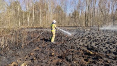 Alarm pożarowy w Międzylesiu postawił na nogi jednostki ratowniczo-gaśnicze