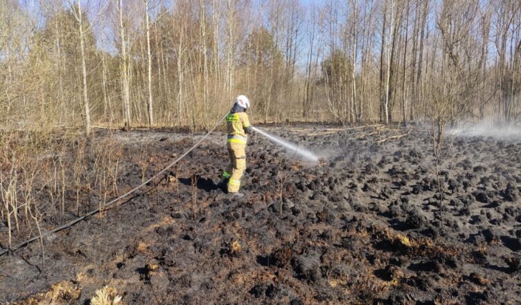 Alarm pożarowy w Międzylesiu postawił na nogi jednostki ratowniczo-gaśnicze
