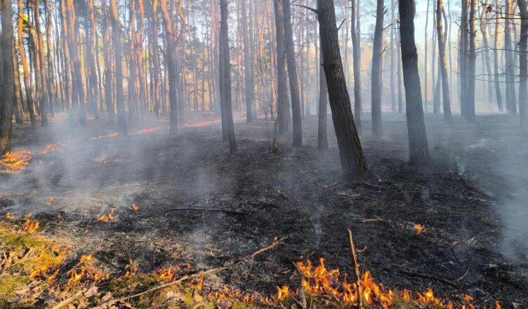 Pożar lasu w Nadmie – każda minuta miała znaczenie