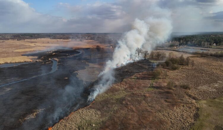 Pożar 30 hektarów nieużytków na granicy Marianowa i Ślężan – dwóch strażaków rannych, jeden trafił do szpitala