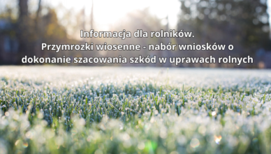 Jadów - przymrozki wiosenne - nabór wniosków o dokonanie szacowania szkód w uprawach rolnych