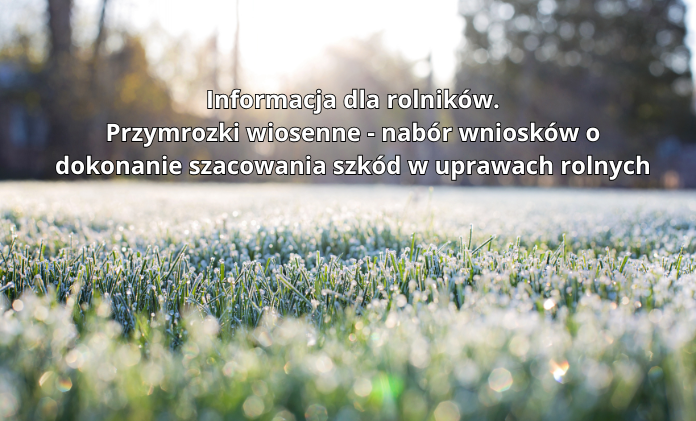 Jadów - przymrozki wiosenne - nabór wniosków o dokonanie szacowania szkód w uprawach rolnych