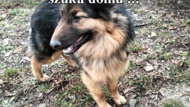 Jadów - podaruj miłość – ten przystojny kawaler czeka właśnie na Ciebie!