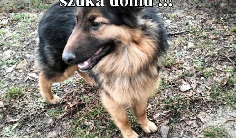 Jadów - podaruj miłość – ten przystojny kawaler czeka właśnie na Ciebie!