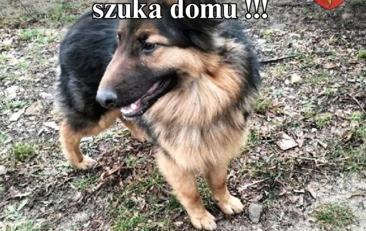 Jadów - podaruj miłość – ten przystojny kawaler czeka właśnie na Ciebie!