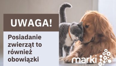 Marki - Posiadanie czworonoga to duża odpowiedzialność!