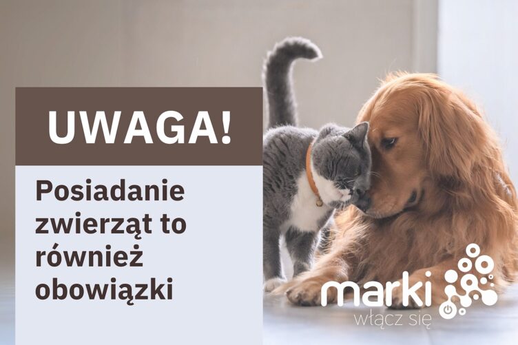 Marki - Posiadanie czworonoga to duża odpowiedzialność!