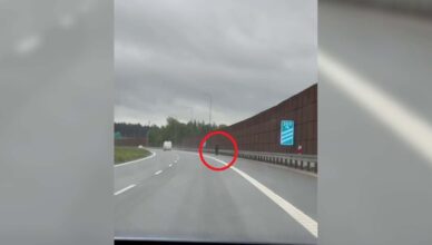 Szedł na autobus.. drogą ekspresową