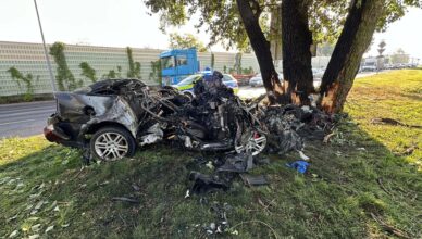 Czarna seria tragicznych wypadków na Mazowszu