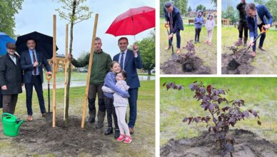 Symboliczny gest z przesłaniem. Pamiątkowe drzewo zasadzono na Placu 15 Sierpnia w Kobyłce