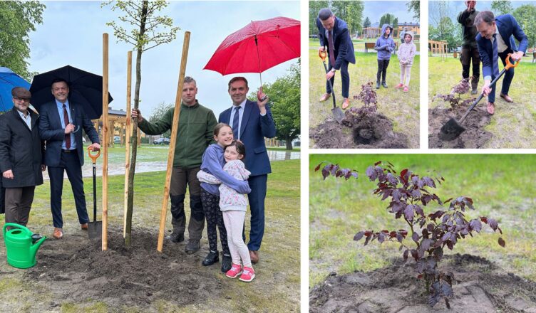 Symboliczny gest z przesłaniem. Pamiątkowe drzewo zasadzono na Placu 15 Sierpnia w Kobyłce