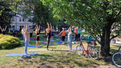 Joga wróciła do parku