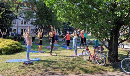 Joga wróciła do parku