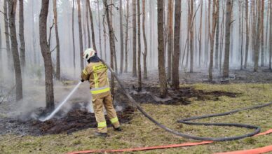 Pożar lasu w Kruszu. Skuteczna akcja strażaków