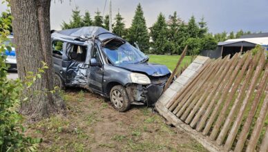 Wypadł z drogi, uderzył w drzewo i ściął ogrodzenie. Był kompletnie pijany.