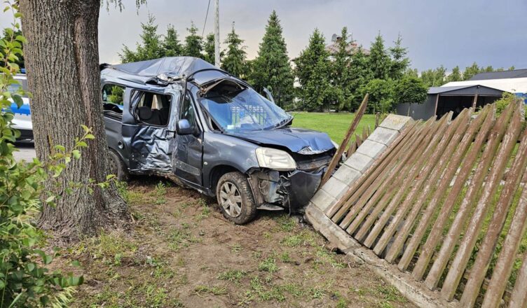 Wypadł z drogi, uderzył w drzewo i ściął ogrodzenie. Był kompletnie pijany.