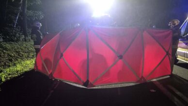 Tragiczny wypadek na DK 50. Zderzenie motocyklisty z łosiem.