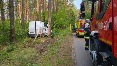 Bus zjechał z drogi i uderzył w drzewo - 5 osób trafiło do szpitala