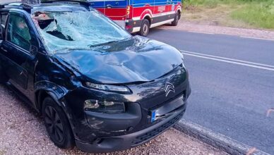 Zachowaj czujność - dzikie zwierzęta na drogach! Kolejne zderzenie z łosiem!