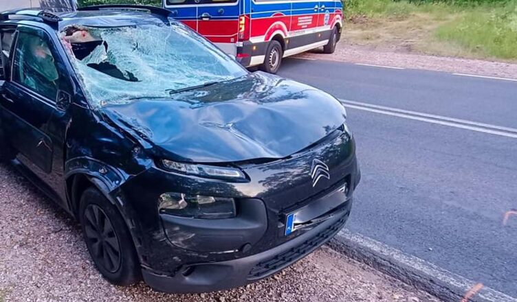 Zachowaj czujność - dzikie zwierzęta na drogach! Kolejne zderzenie z łosiem!