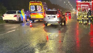 Zderzenie z łosiem na DK61