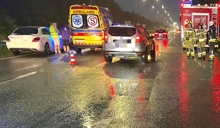 Zderzenie z łosiem na DK61