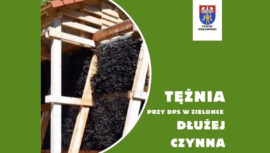 Dłużej przy tężni w Zielonce!