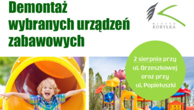 Nowe atrakcje w Kobyłce